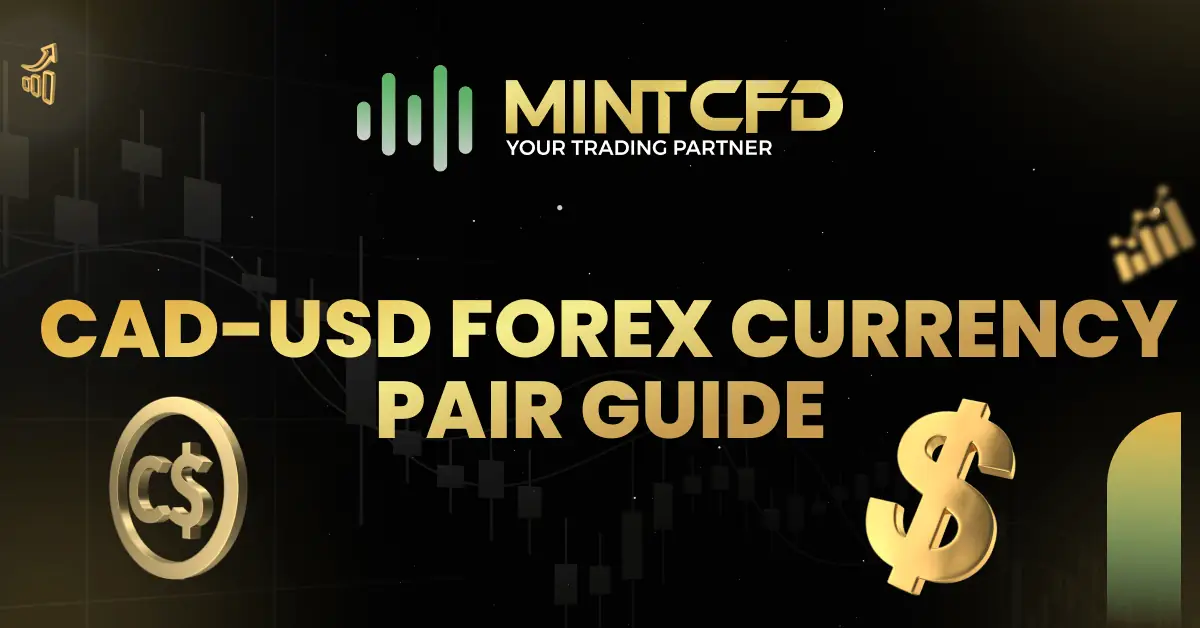 Easy Guide to Understanding CAD-USD Forex Currency Pair